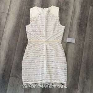 Greylin Lace Fringe Sleeveless Mini Dress.